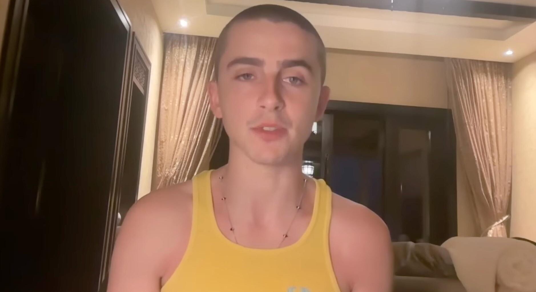 Timothee Chalament en una videollamada