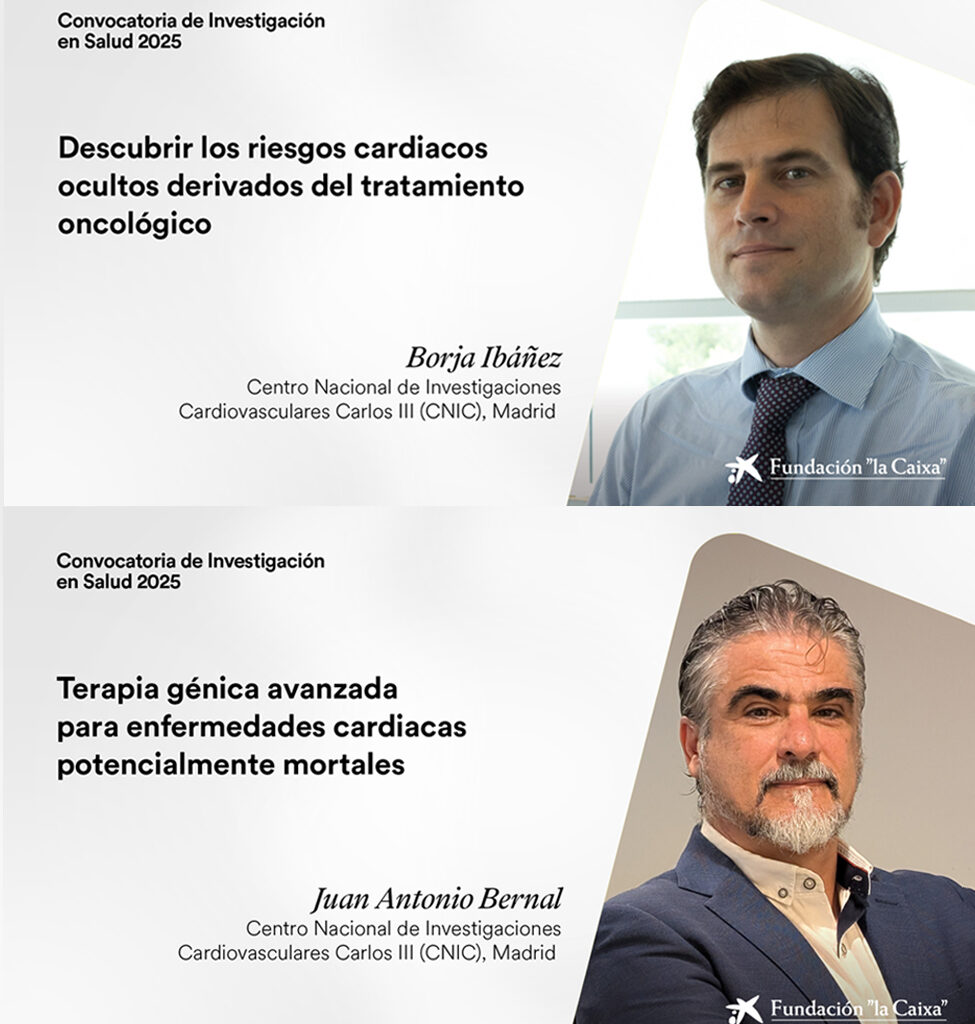 Dos proyectos del CNIC seleccionados en la convocatoria Investigación en Salud 2025 de la Fundación ”la Caixa”