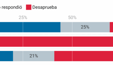 El escándalo Epstein y la coalición MAGA