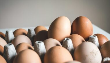 Las tres cosas que debes comprobar en un huevo para saber si tiene gripe aviar