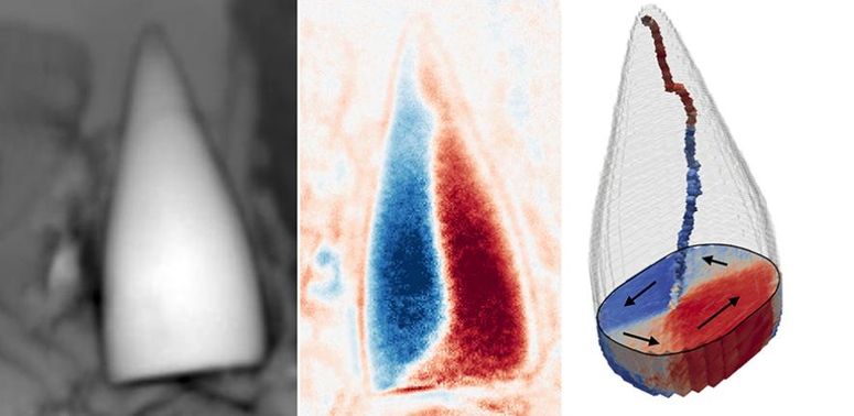 Este diminuto fósil magnético es en realidad un órgano de navegación de un animal desconocido.