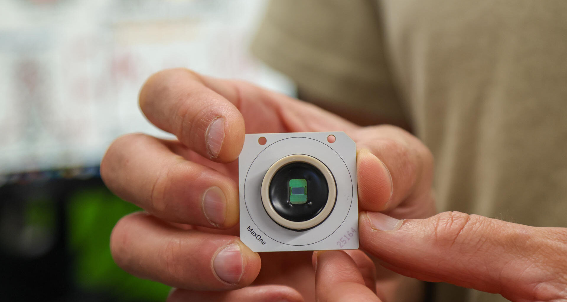 El cerebro humano viene 'preconfigurado' con instrucciones para comprender el mundo