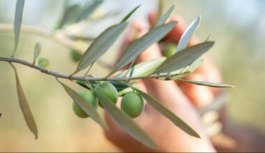 récord histórico de producción, exportaciones y consumo que desafía los aranceles