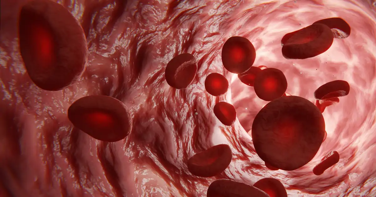 El equipo de investigadoras del IDIBELL que ha logrado 'rejuvenecer' la sangre