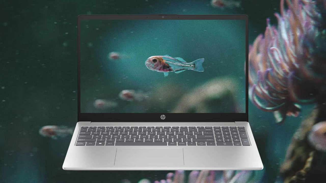 este portátil HP es la compra maestra del Black Friday