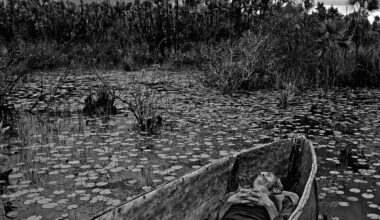 'Al Oeste, en Zapata' se erige mejor película del FICX