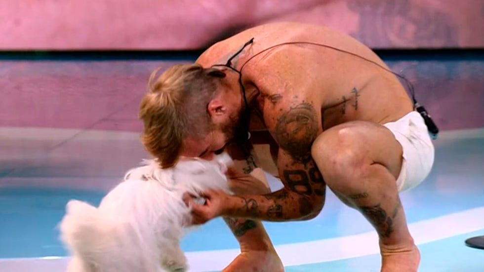 tony spina perro pupi supervivientes