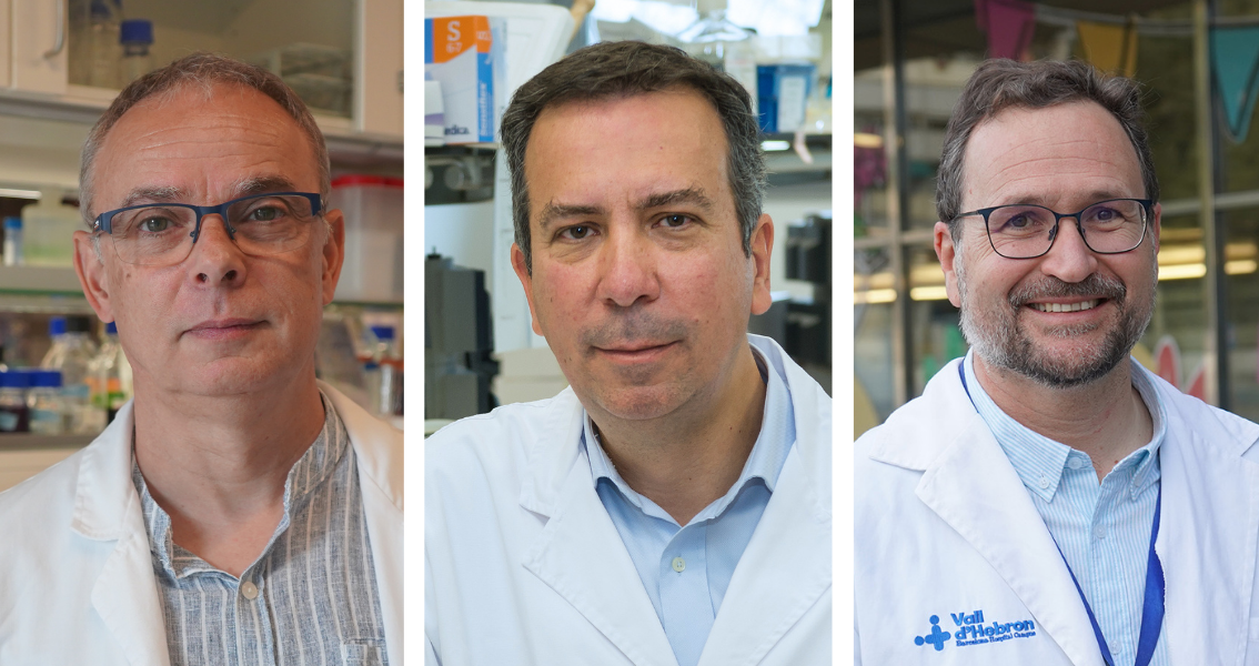 Tres proyectos de Vall d’Hebron reciben ayudas de