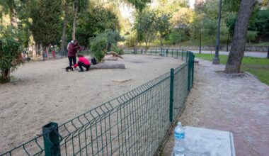 Amigos de las dos chicas halladas muertas en Jaén aseguran que habían sufrido acoso escolar