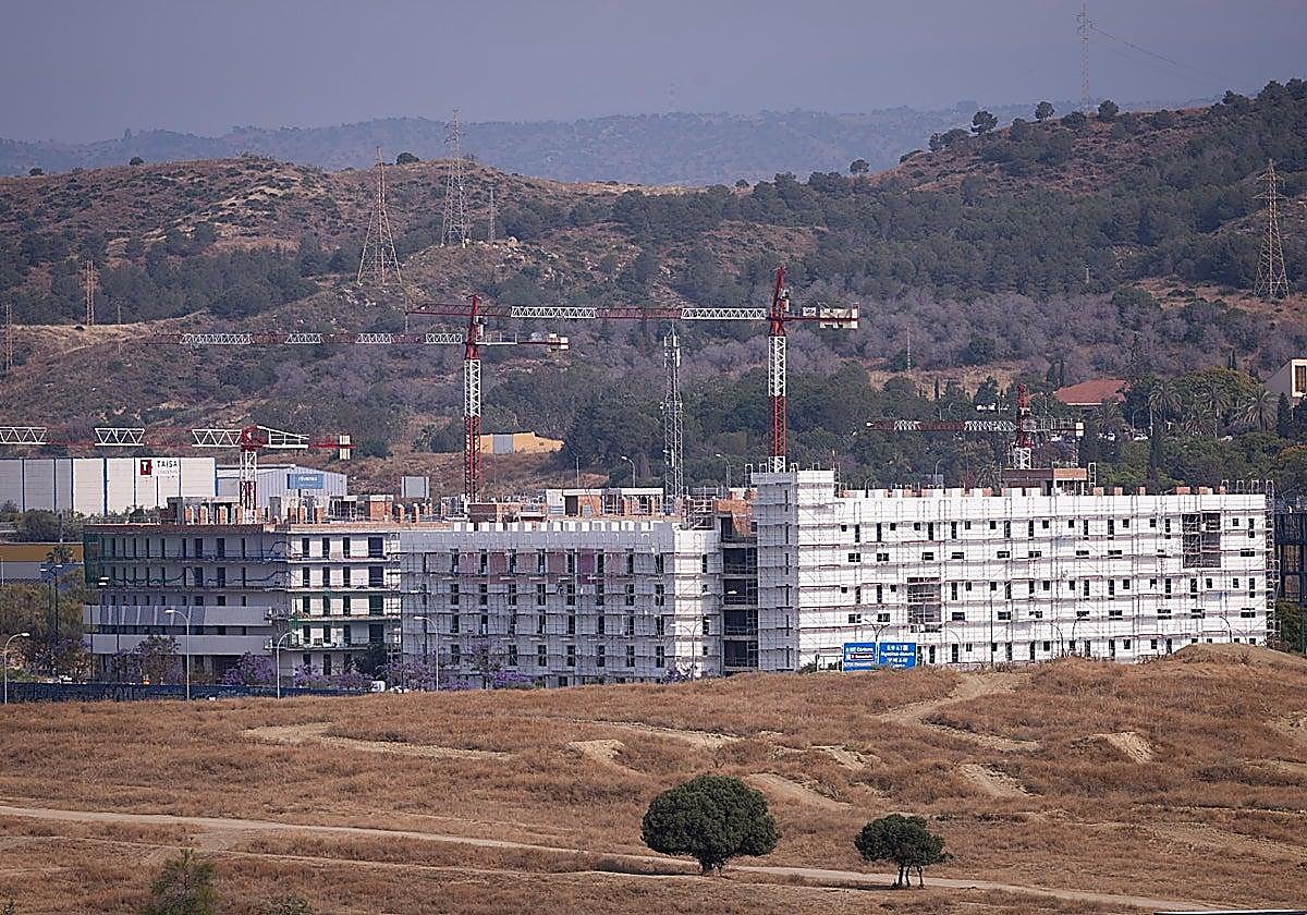 Alquileres desde 365 euros: así podrás acceder a partir de hoy a una VPO asequible por la zona de la Universidad de Málaga