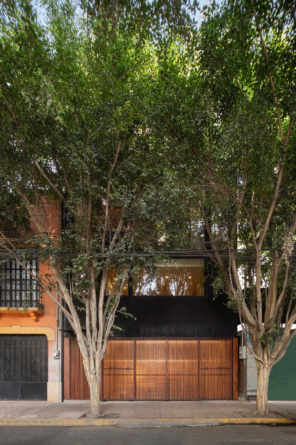 Esta casa de 6 metros de ancho tiene árboles en medio del patio interior y una escalera que atraviesa la casa sin pasar por ninguna habitación casa 6 metros ancho arboles medio patio interior escalera atraviesa casa sin pasar por habitacion