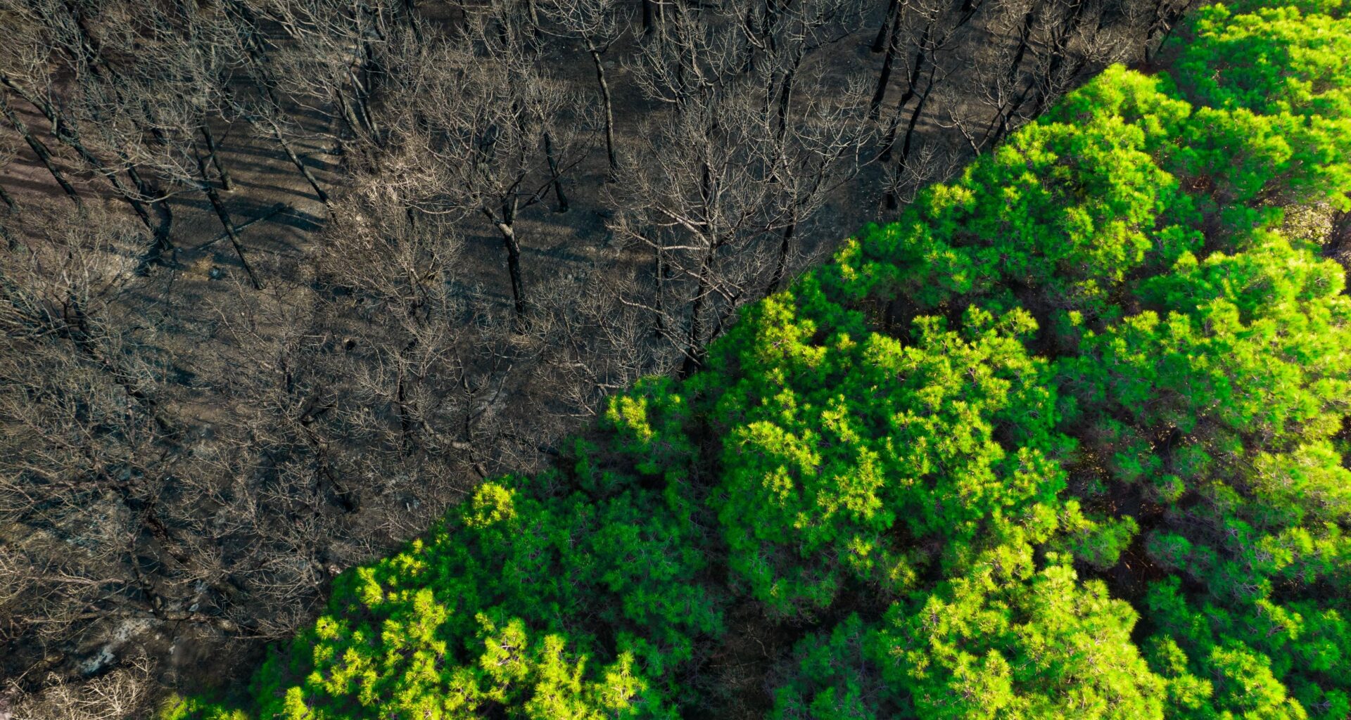 Los fenómenos climáticos extremos han aumentado en la última década
