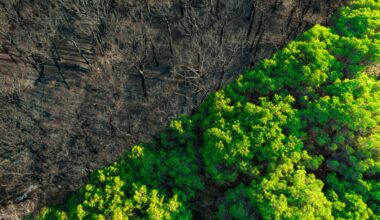 Los fenómenos climáticos extremos han aumentado en la última década