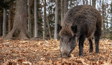 Ir a inicio. La Moncloa