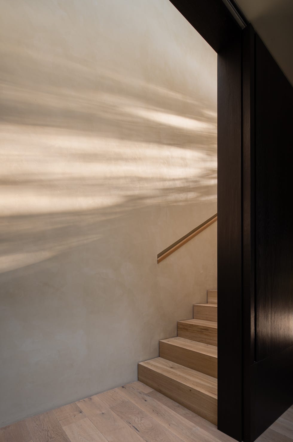 Esta casa de 6 metros de ancho tiene árboles en medio del patio interior y una escalera que atraviesa la casa sin pasar por ninguna habitación casa 6 metros ancho arboles medio patio interior escalera atraviesa casa sin pasar por habitacion