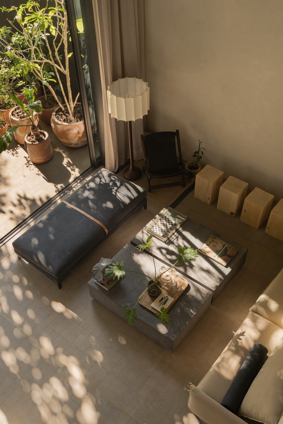 Esta casa de 6 metros de ancho tiene árboles en medio del patio interior y una escalera que atraviesa la casa sin pasar por ninguna habitación casa 6 metros ancho arboles medio patio interior escalera atraviesa casa sin pasar por habitacion