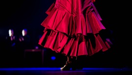 Más de 400 artistas y casi 30.000 personas, en la programación del XV aniversario del Flamenco como Patrimonio Cultural de la Humanidad - Noticias
