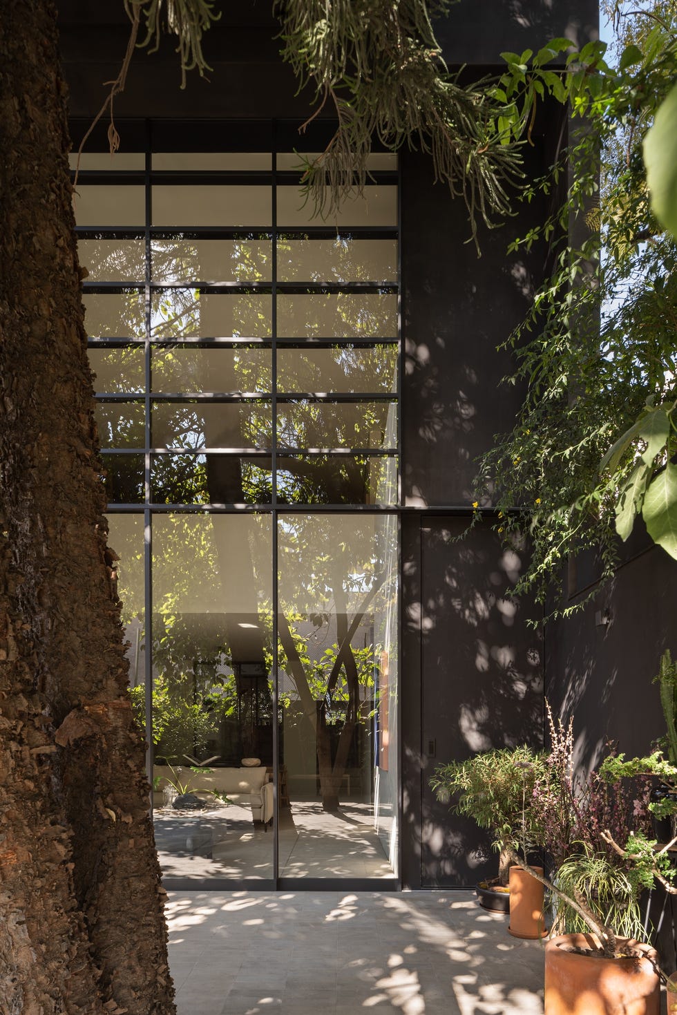 Esta casa de 6 metros de ancho tiene árboles en medio del patio interior y una escalera que atraviesa la casa sin pasar por ninguna habitación casa 6 metros ancho arboles medio patio interior escalera atraviesa casa sin pasar por habitacion