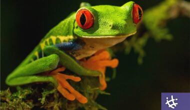 Destacada participación de la UNLP en el informe ambiental de la ONU » UNLP