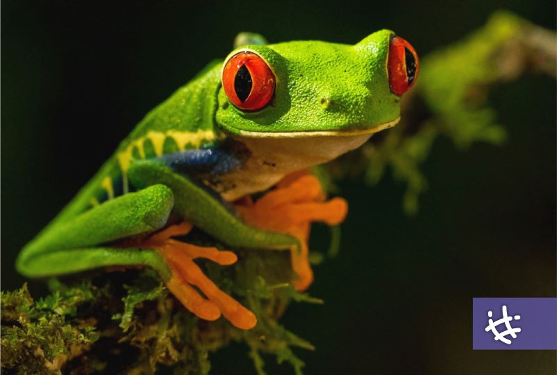 Destacada participación de la UNLP en el informe ambiental de la ONU » UNLP