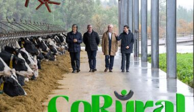 Clun y Celta unen fuerzas y crean CoRural, un grupo lechero con 1.400 productores gallegos