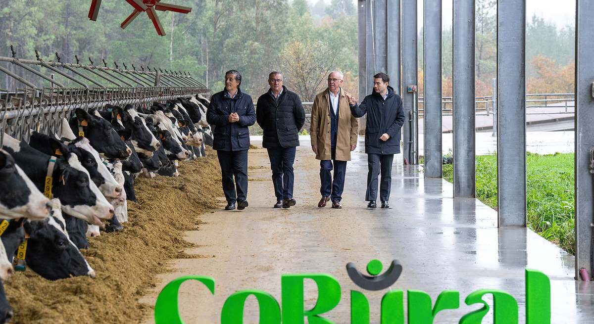 Clun y Celta unen fuerzas y crean CoRural, un grupo lechero con 1.400 productores gallegos
