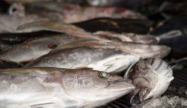 La UE acuerda las cuotas de pesca para 2026 tras intensas negociaciones y España esquiva el recorte