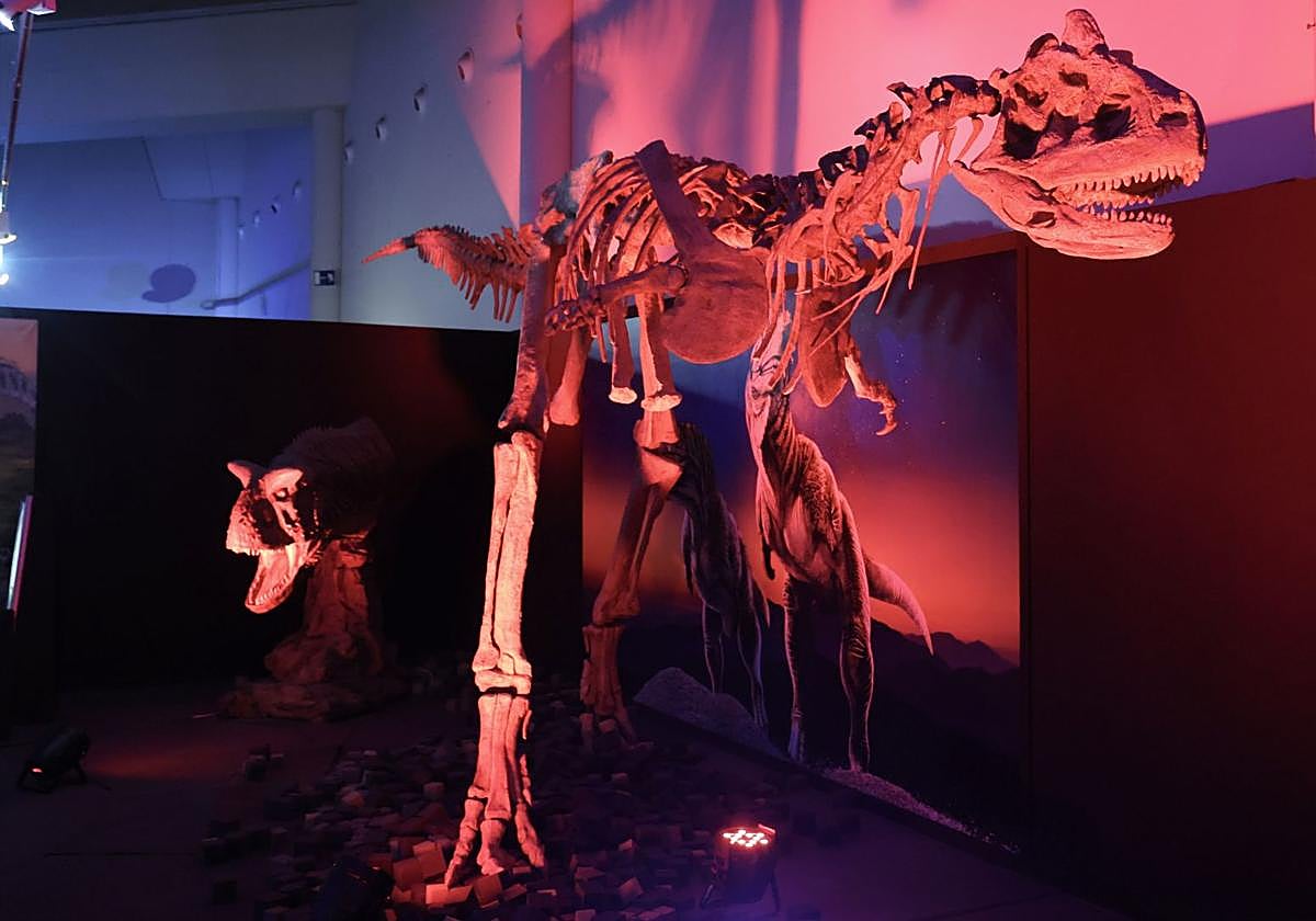 Los dinosaurios reviven en Valladolid: del meteorito asesino a las 21 maquetas en tamaño real