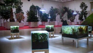 El Guggenheim florece por dentro ¡y huele! con las 'Artes de la Tierra'