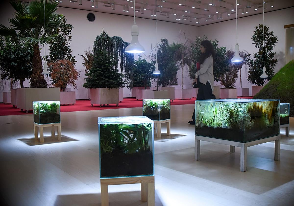 El Guggenheim florece por dentro ¡y huele! con las 'Artes de la Tierra'