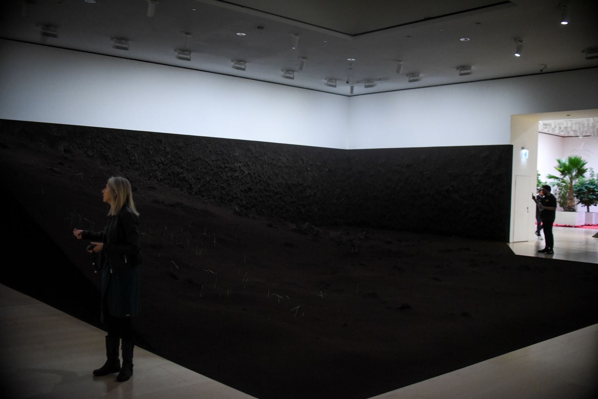 La obra de Delcy Morelos.