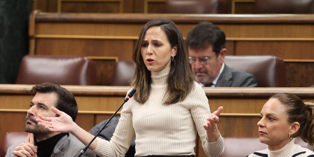 Podemos irá a las elecciones con candidatura propia