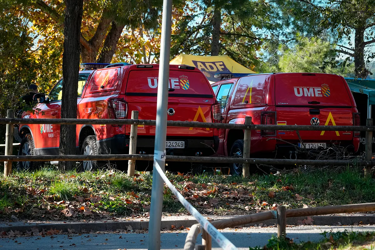 Cataluña cree que la peste porcina pudo entrar en España por un bocadillo con embutido contaminado ingerido por jabalíes - El Mundo