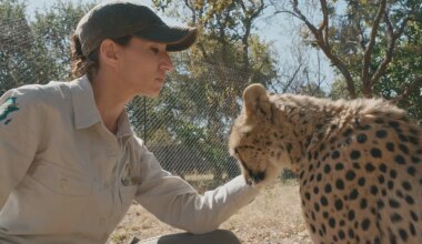 Fabiola Quesada, el "honor y responsabilidad" de continuar con el legado de Félix Rodríguez de la Fuente en RTVE - El Mundo