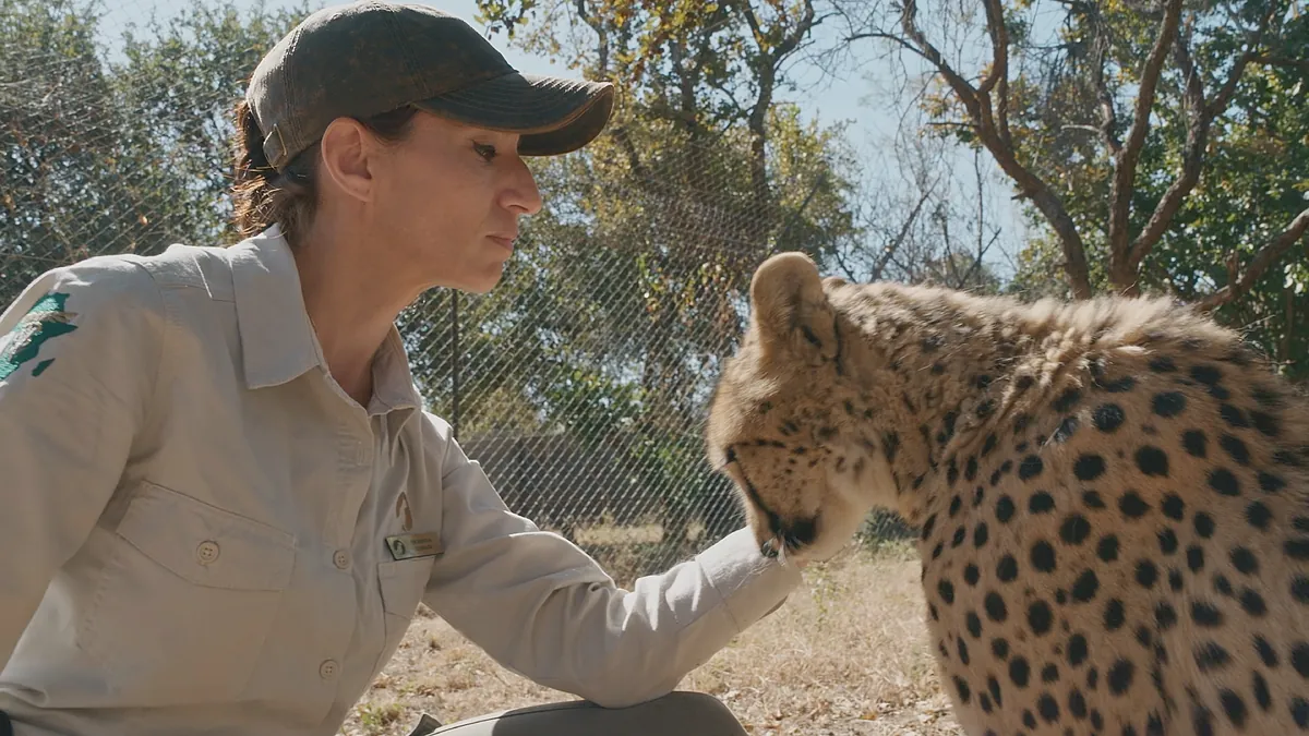 Fabiola Quesada, el "honor y responsabilidad" de continuar con el legado de Félix Rodríguez de la Fuente en RTVE - El Mundo