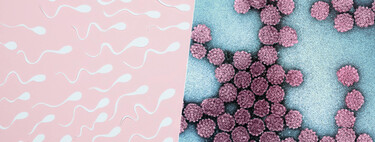 La caída en la fertilidad tiene un nuevo sospechoso: el virus del papiloma humano