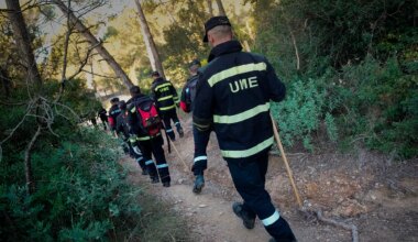 España cree que la falta de colaboración de Rusia ha dificultado la evaluación del riesgo de la peste porcina africana - El Mundo