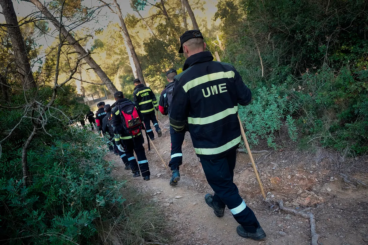 España cree que la falta de colaboración de Rusia ha dificultado la evaluación del riesgo de la peste porcina africana - El Mundo