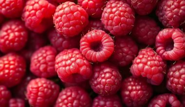 Así se habría ejecutado el macabro atentado a niñas con frambuesas envenenadas en Bogotá: las compraron un mes antes