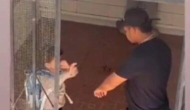 Lucas, una tragedia anunciada: Iba a clase con moretones... cuando iba - El Mundo