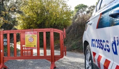 La peste porcina no ha salido de la zona del brote, con trece jabalíes infectados - Expansión