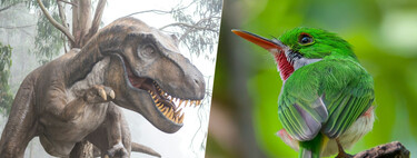 Hace 66 millones de años un meteorito acabó con los dinosaurios. Y dejó una marca en los genes de sus descendientes