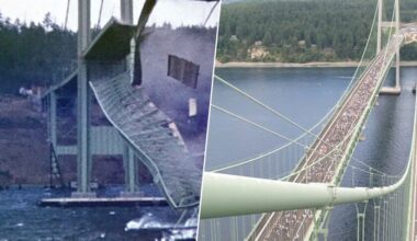 también cambió la ingeniería para siempre