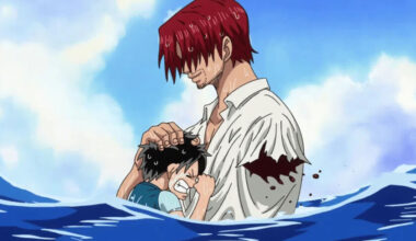 Esta teoría loquísima sobre los brazos izquierdos en One Piece me ha dejado toda la semana con el gorrito de conspiranóico