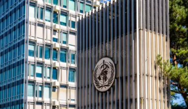 Guía de la OMS sobre terapias GLP-1 para la obesidad en adultos – Gestión y Economía de la Salud