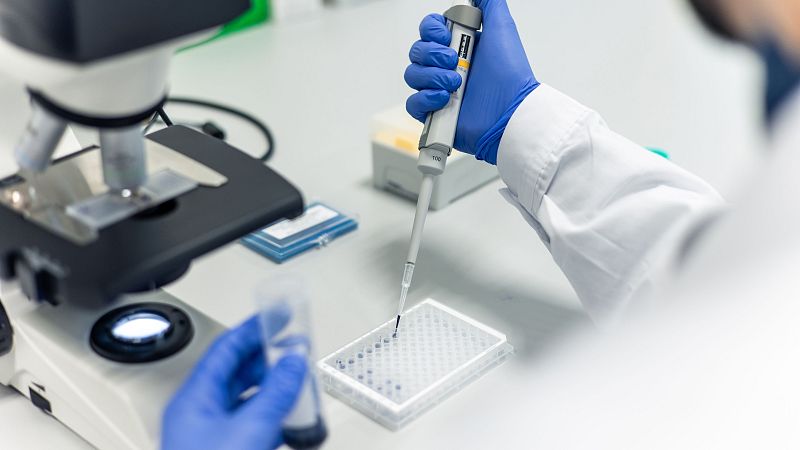 Proteínas capaces de transportar y almacenar electricidad