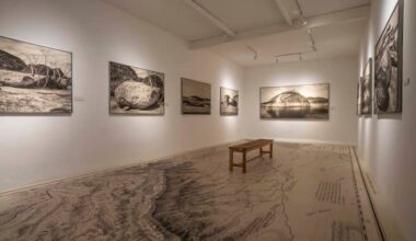 Diego Amaral y “Línea de agua (aguas bajas)”: el testimonio de las rocas silenciosas (Meninas frente al espejo)