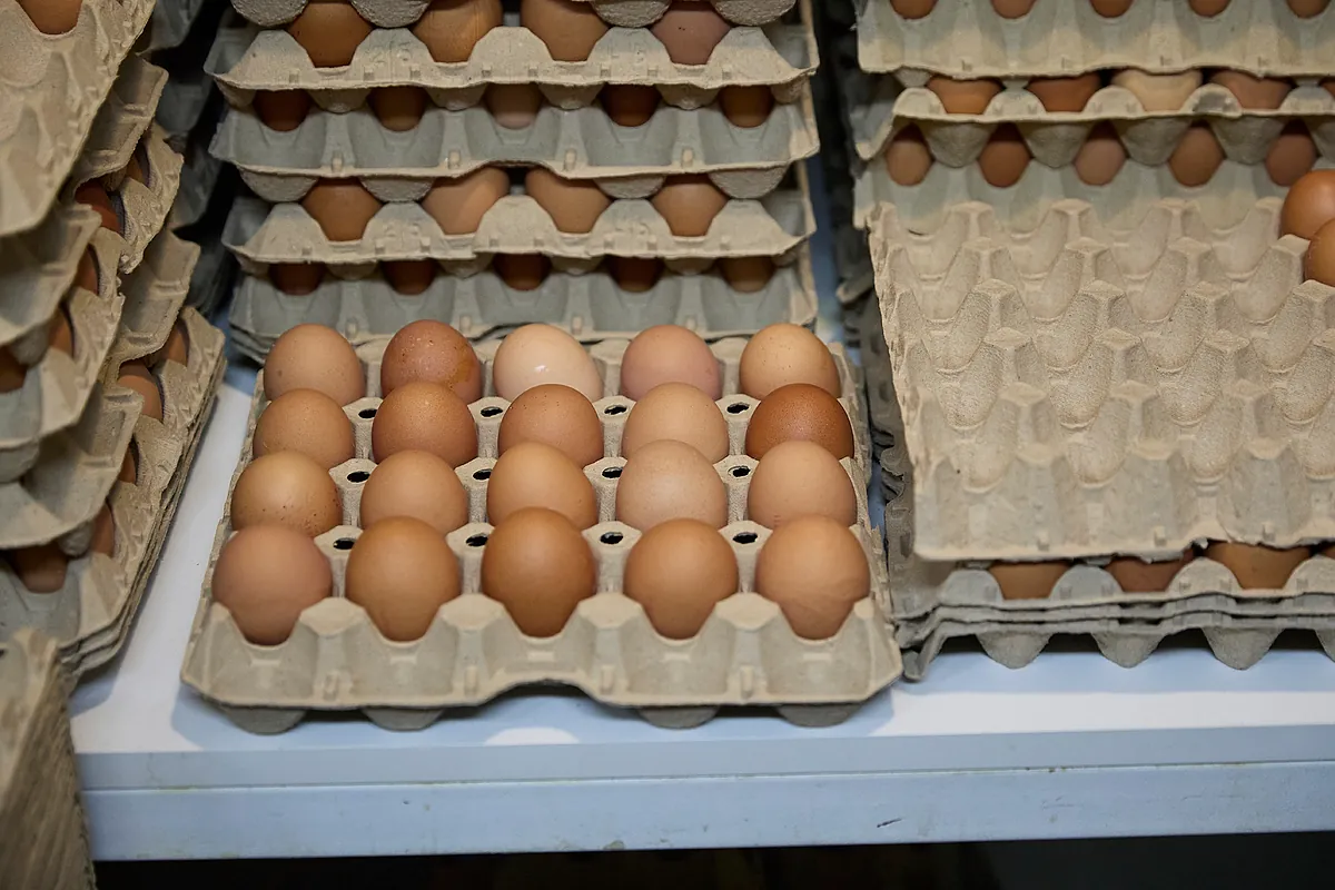 Huevos, café, carne de vacuno y chocolate disparan sus precios en lo que va de año - Expansión