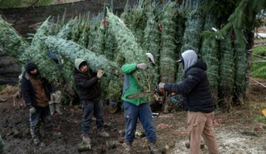 El desempleo en EEUU sube a 4,6% en noviembre, el más alto desde 2021