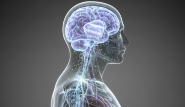 Más allá de las neuronas: el rol de los astrocitos en la memoria, el comportamiento y la salud mental